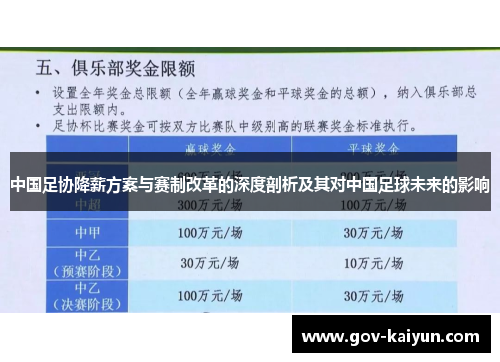 中国足协降薪方案与赛制改革的深度剖析及其对中国足球未来的影响