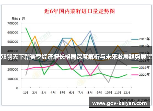双羽天下新赛季经济增长格局深度解析与未来发展趋势展望
